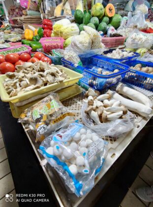 Redmi Образец широкоугольной камеры K30 Pro 