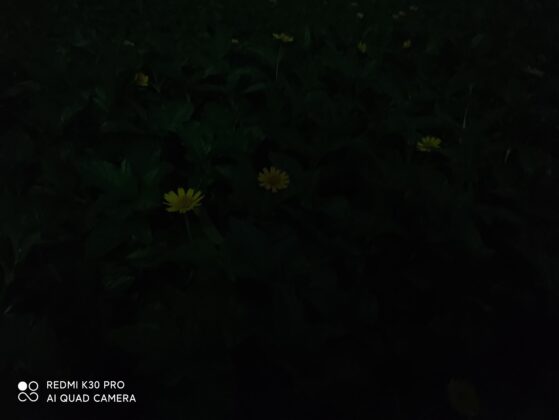 Redmi Образец камеры K30 Pro в нормальном режиме 