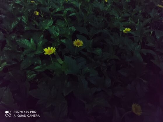Redmi Образец камеры ночного режима K30 Pro 